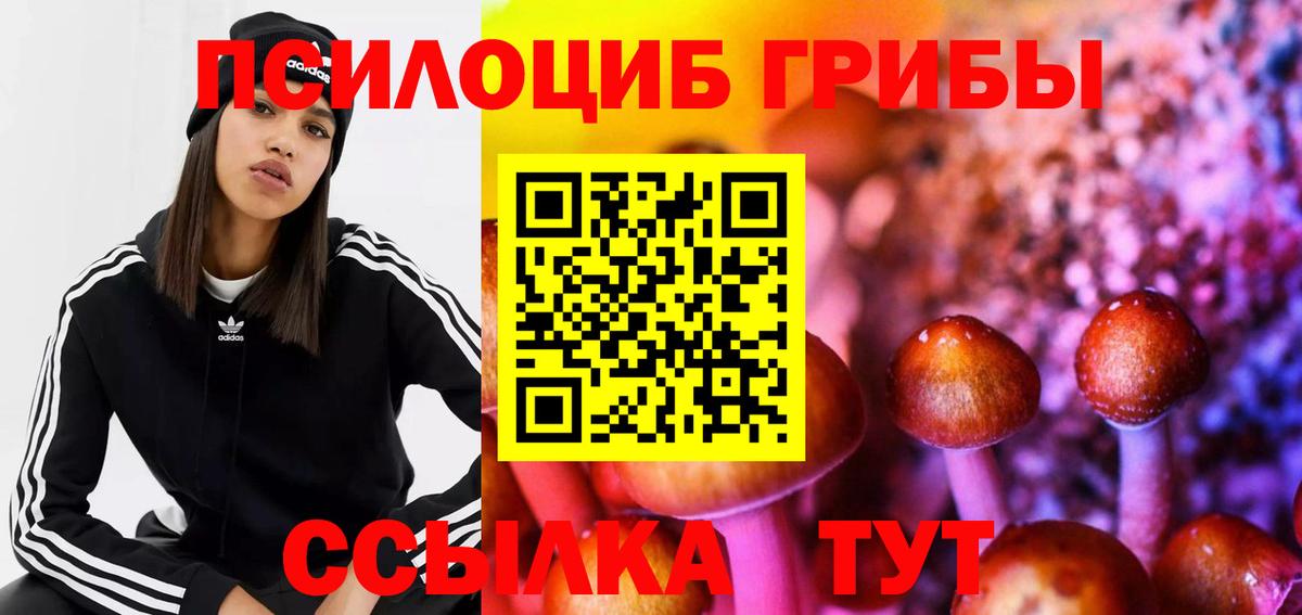 Псилоцибиновые грибы Cubensis  Вход с VPN  Липецк  Галлюциногенные грибы мицелий 